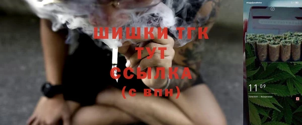 PSILOCYBIN Богородицк