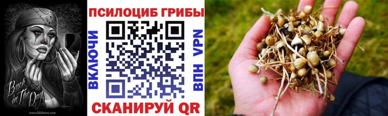 Псилоцибиновые грибы GOLDEN TEACHER  Палласовка 